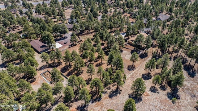 5545 E Cullum Ln, Flagstaff, AZ 86004 - photo 84