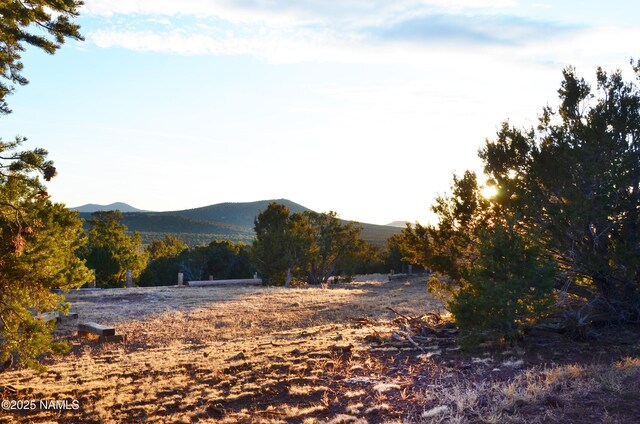 1195 E Chaparral Ln, Williams, AZ 86046 - photo 41