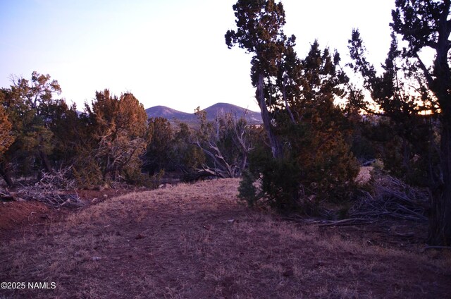 1195 E Chaparral Ln, Williams, AZ 86046 - photo 30