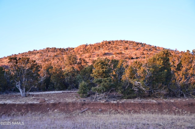 1195 E Chaparral Ln, Williams, AZ 86046 - photo 14