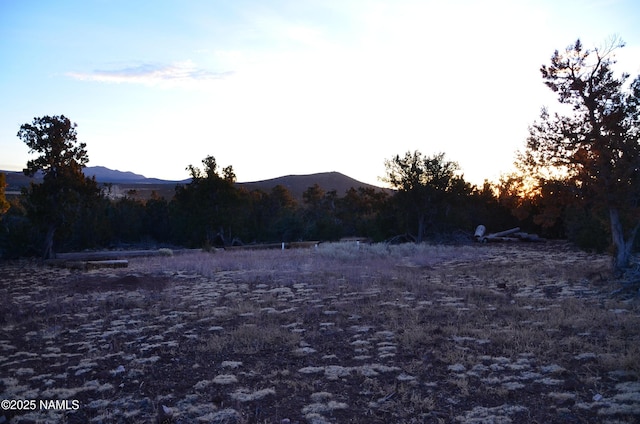 1195 E Chaparral Ln, Williams, AZ 86046 - photo 15