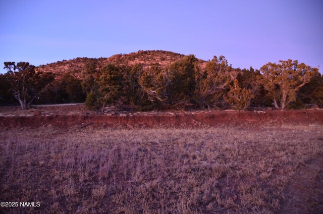 1195 E Chaparral Ln, Williams, AZ 86046 - photo 32