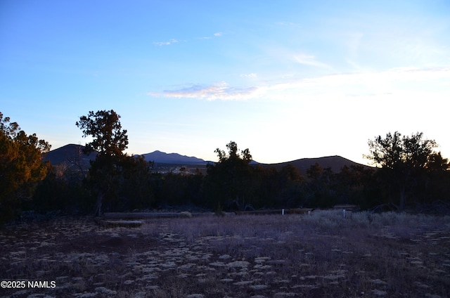 1195 E Chaparral Ln, Williams, AZ 86046 - photo 17