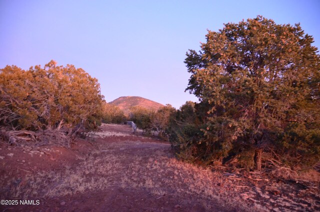 1195 E Chaparral Ln, Williams, AZ 86046 - photo 29