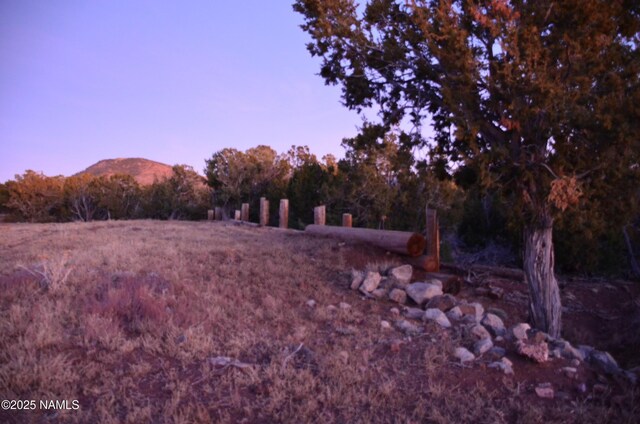 1195 E Chaparral Ln, Williams, AZ 86046 - photo 36