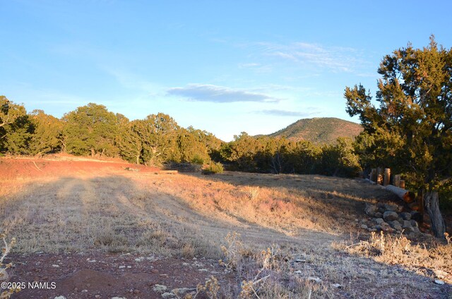 1195 E Chaparral Ln, Williams, AZ 86046 - photo 40