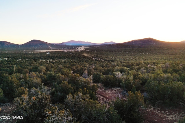 1195 E Chaparral Ln, Williams, AZ 86046 - photo 9
