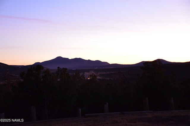 1195 E Chaparral Ln, Williams, AZ 86046 - photo 33