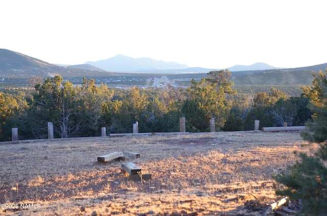 1195 E Chaparral Ln, Williams, AZ 86046 - photo 23