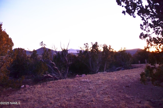 1195 E Chaparral Ln, Williams, AZ 86046 - photo 35
