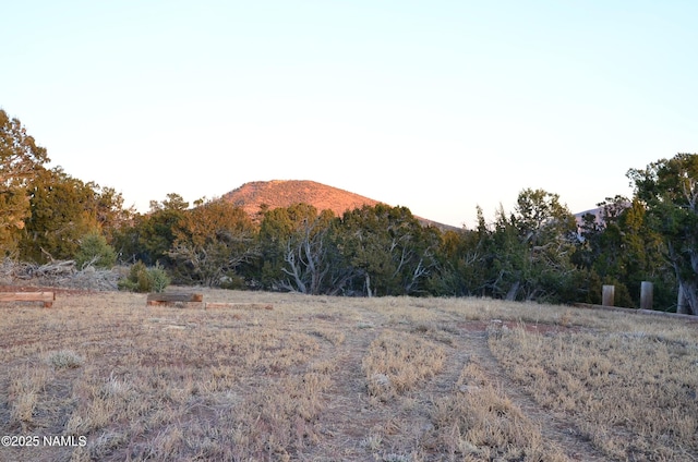 1195 E Chaparral Ln, Williams, AZ 86046 - photo 16