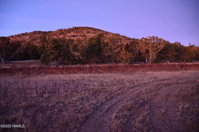 1195 E Chaparral Ln, Williams, AZ 86046 - photo 37