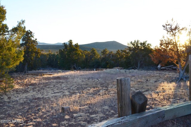 1195 E Chaparral Ln, Williams, AZ 86046 - photo 39