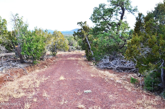 1195 E Chaparral Ln, Williams, AZ 86046 - photo 3