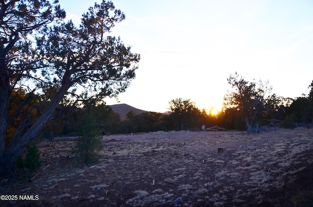 1195 E Chaparral Ln, Williams, AZ 86046 - photo 13