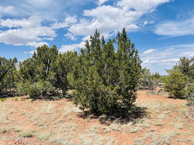 6379 Water Tank Cir, Williams, AZ 86046
