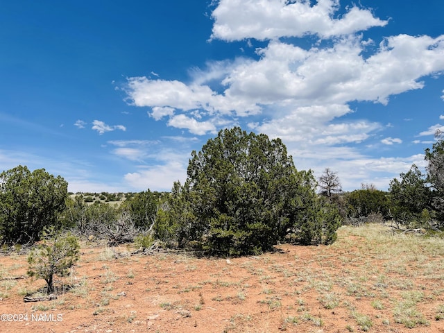 6379 Water Tank Cir, Williams, AZ 86046
