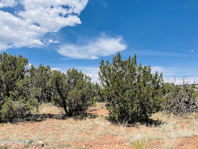 6379 Water Tank Cir, Williams, AZ 86046