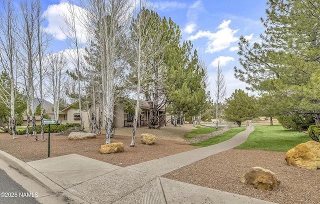 surrounding community with a lawn