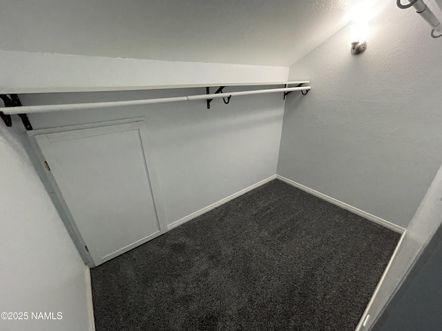 1200 S Riordan Ranch St Unit 44, Flagstaff, AZ 86001 - walk in closet featuring dark colored carpet and lofted ceiling