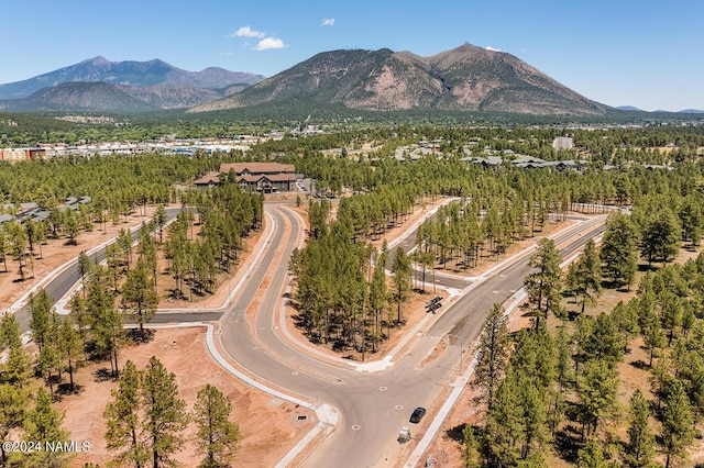 aerial view with a mountain view