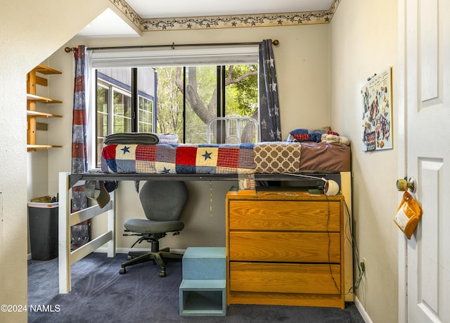 office area featuring carpet floors