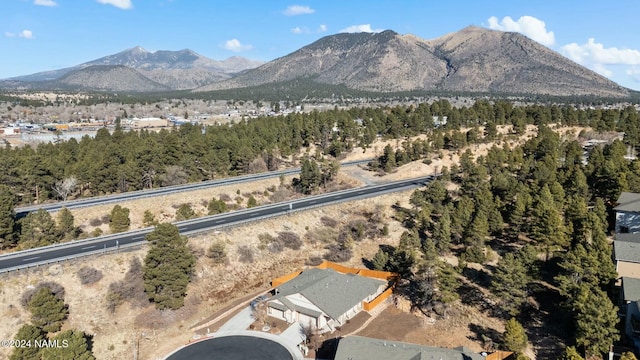 3008 E Cold Springs Trl, Flagstaff, AZ 86004 - mountain view