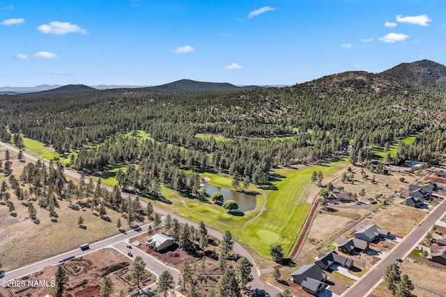 172 Royal Troon Dr, Williams, AZ 86046 - photo 2