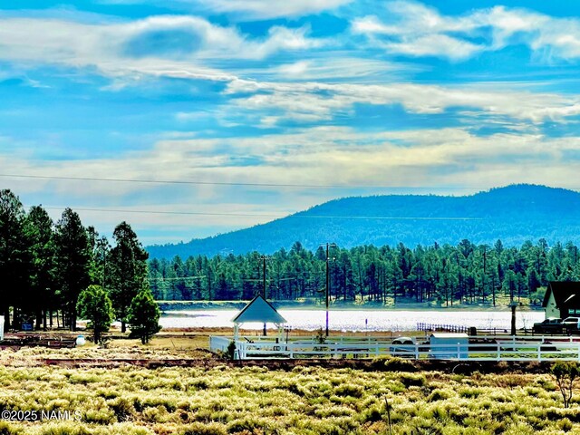 172 Royal Troon Dr, Williams, AZ 86046 - photo 4