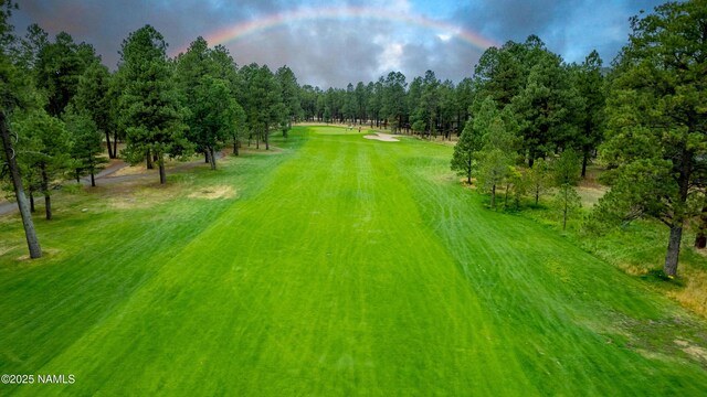 172 Royal Troon Dr, Williams, AZ 86046 - photo 11