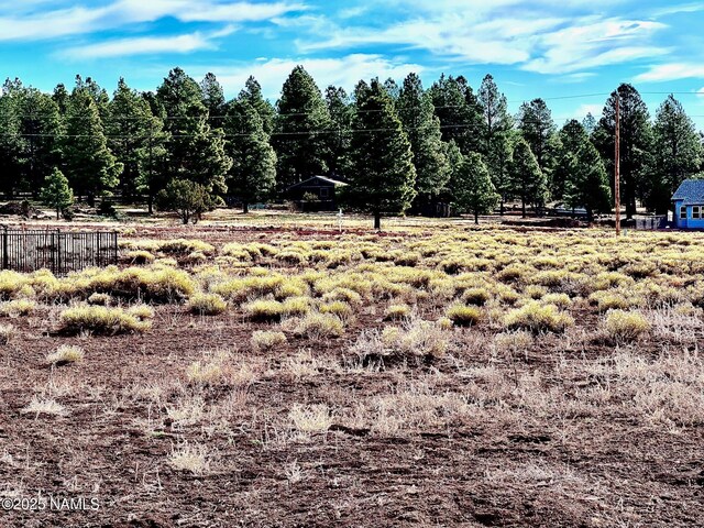 172 Royal Troon Dr, Williams, AZ 86046 - photo 5