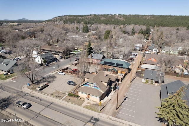 drone / aerial view