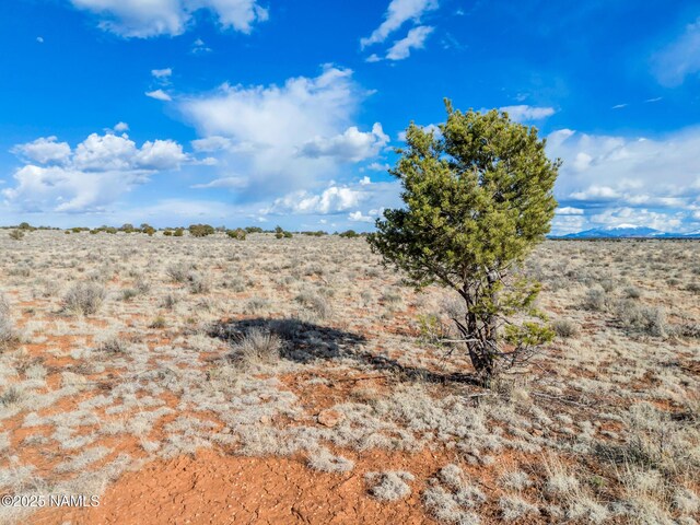 1462 Red Butte Rd, Valle, AZ 86046 - photo 17