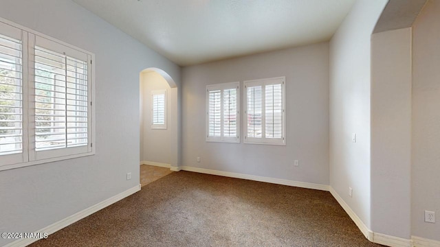 carpeted spare room with a wealth of natural light