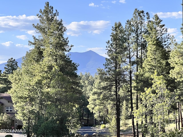 property view of mountains