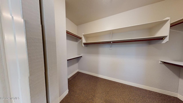 spacious closet with carpet flooring