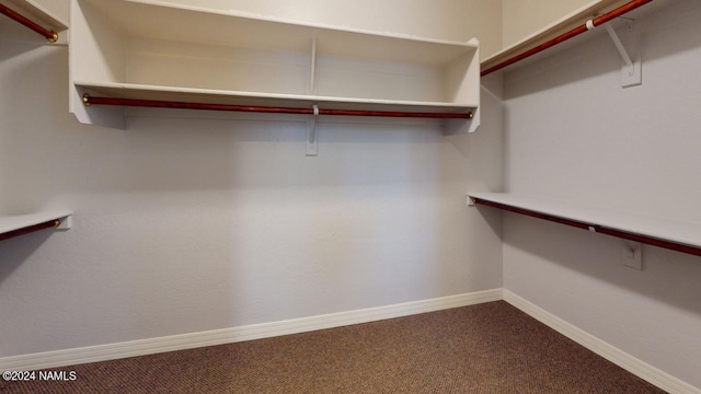 spacious closet featuring carpet flooring