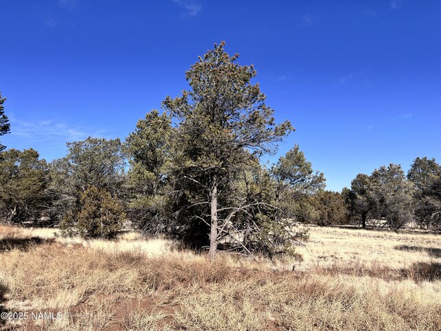 7223 Daisy Dr, Williams, AZ 86046 - photo 6
