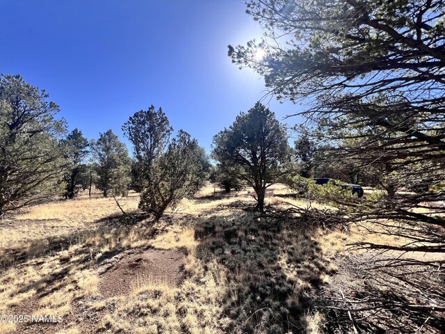 7223 Daisy Dr, Williams, AZ 86046 - photo 13