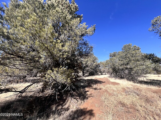 7223 Daisy Dr, Williams, AZ 86046 - photo 11