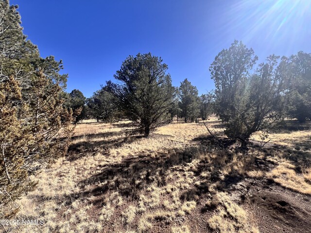7223 Daisy Dr, Williams, AZ 86046 - photo 12