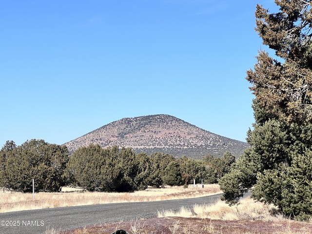 7223 Daisy Dr, Williams, AZ 86046 - photo 9