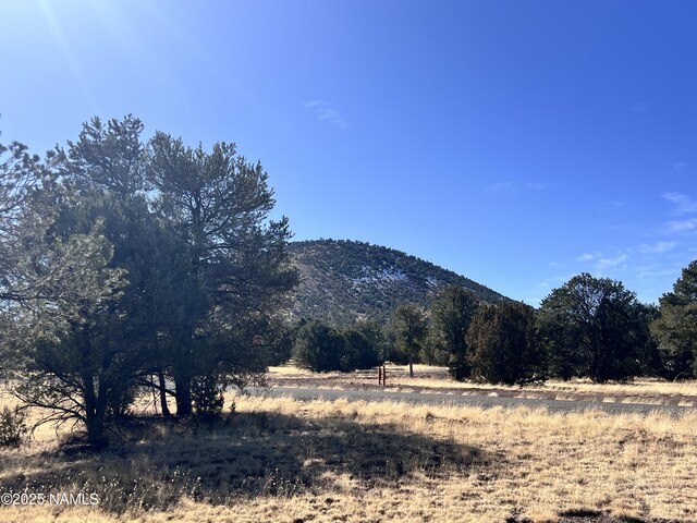 7223 Daisy Dr, Williams, AZ 86046 - photo 10