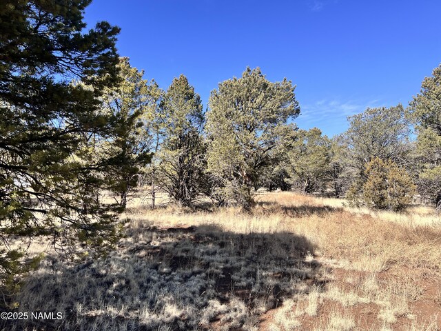 7223 Daisy Dr, Williams, AZ 86046 - photo 7