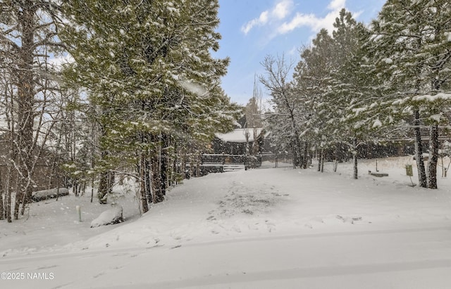 view of snowy yard