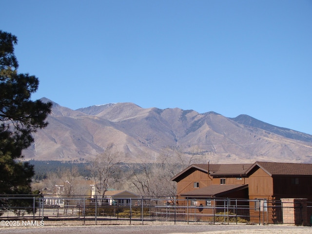 view of mountain feature