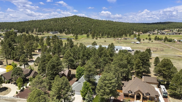 468 S Piping Rock Dr, Williams, AZ 86046 - photo 2