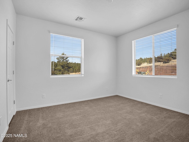 unfurnished bedroom featuring carpet and multiple windows