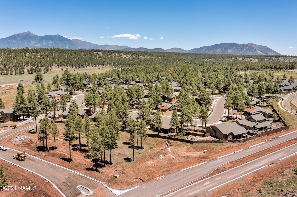 bird's eye view featuring a mountain view