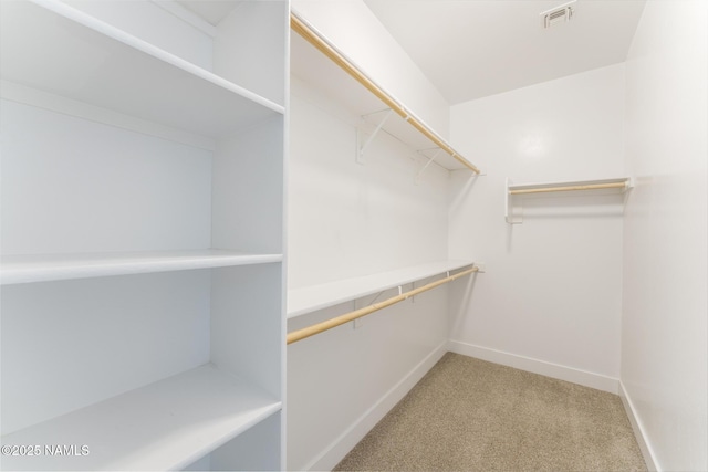 3223 S Beringer Ln, Flagstaff, AZ 86005 - spacious closet with light colored carpet